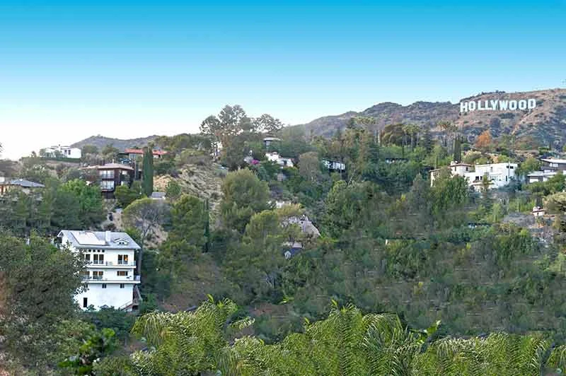 Alta Centers - Photo 3