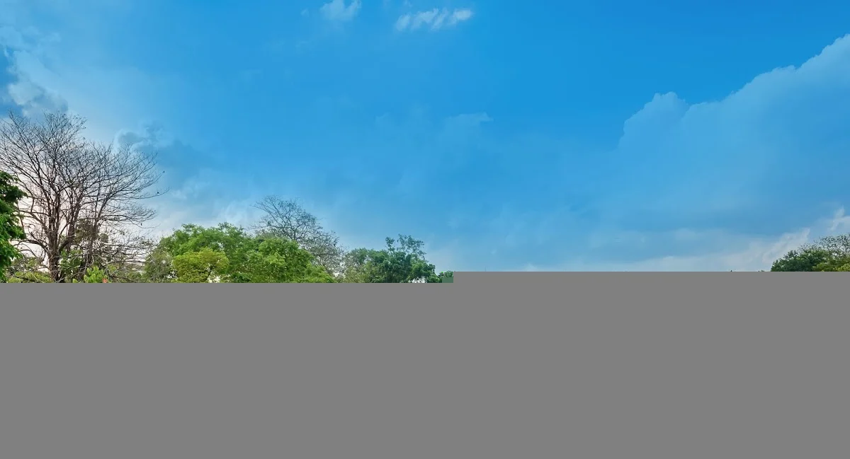 New Life House -Sober Living Homes in Los Angeles