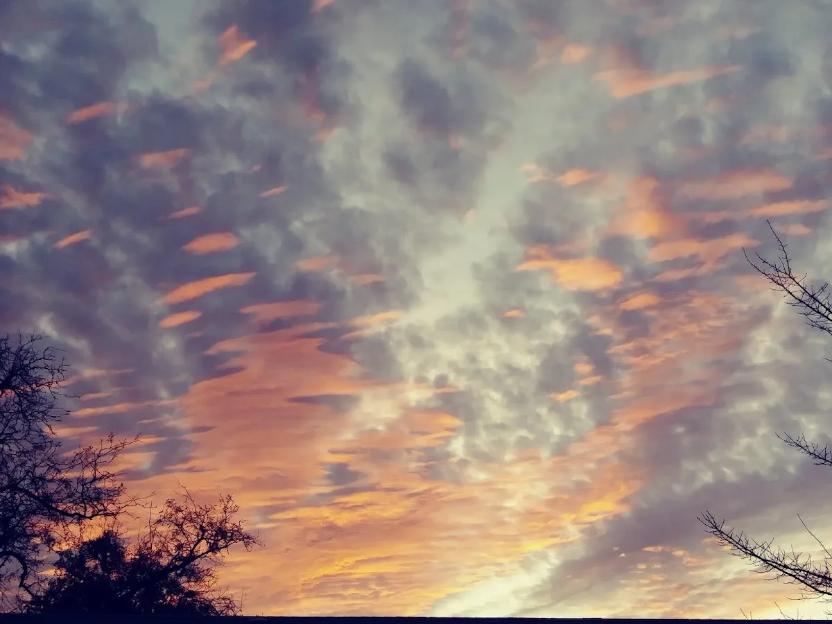 Skyway House Outpatient