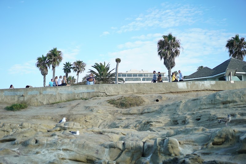 La Jolla Recovery