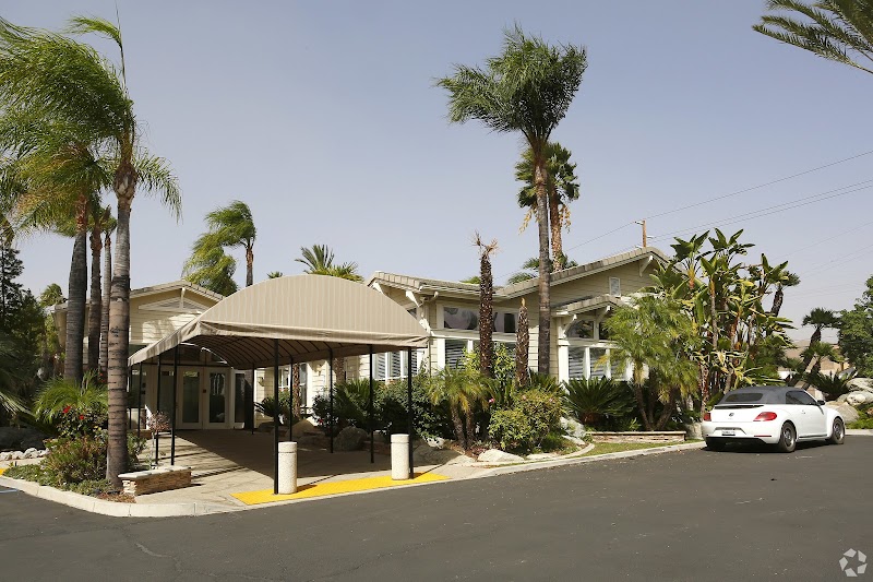 We Level Up California Llc