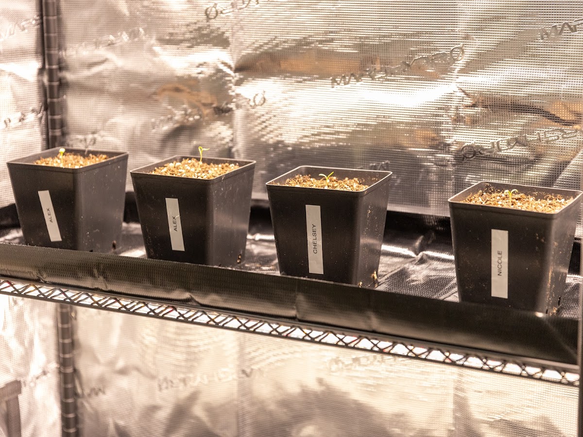 Quest Wellness Center