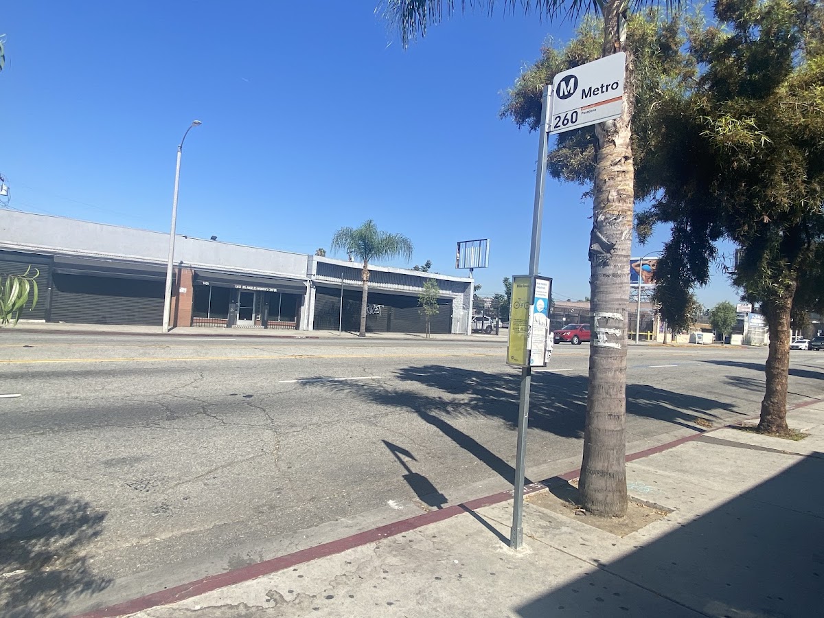 Women's Services Enhancement Program (WESP)