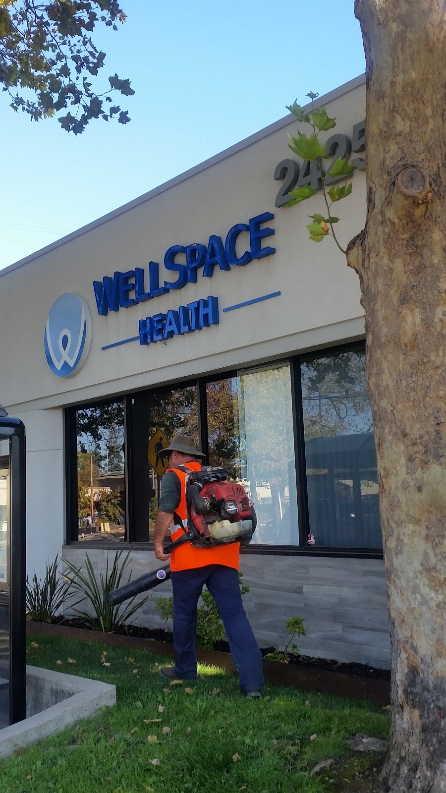 Wellspace Health